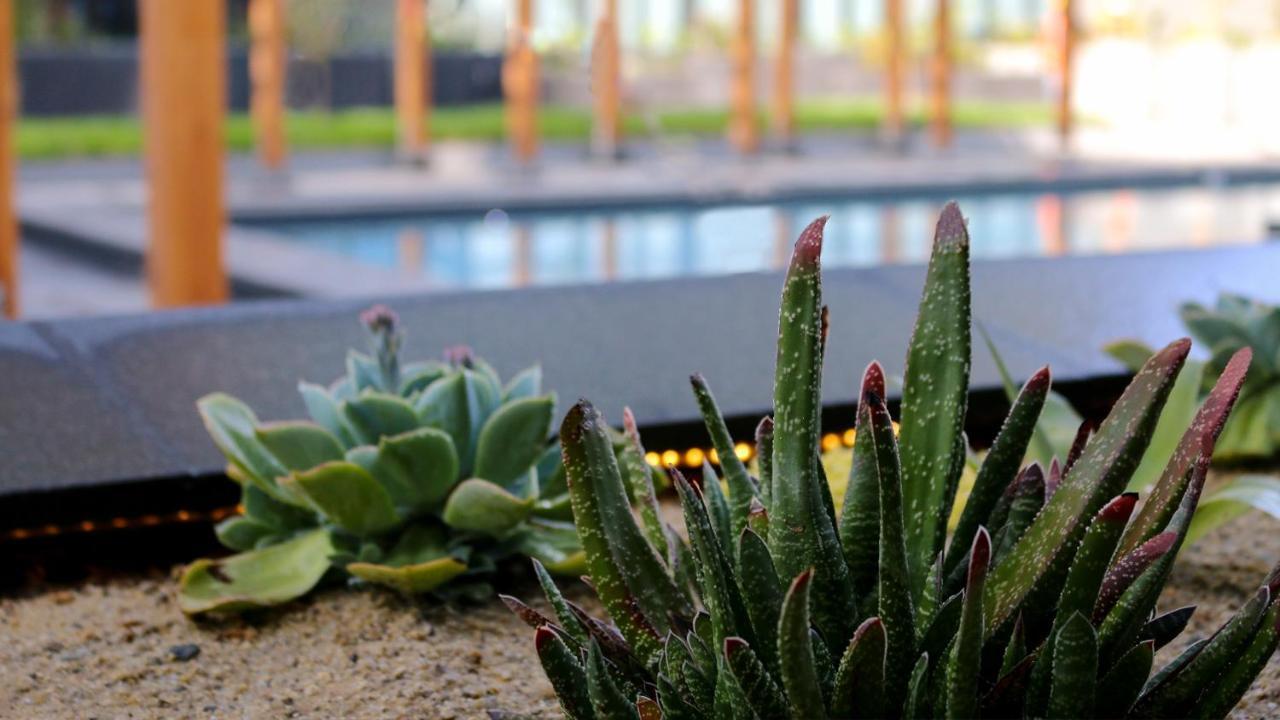Quartz Hotel & Spa 提华纳 外观 照片